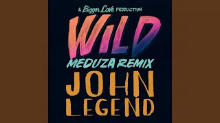 Wild (MEDUZA Remix)