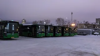 Новогодняя ночь автобуса