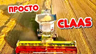 CLAAS LEXION 6800