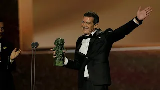 Antonio Banderas, Goya 2020 a Mejor Actor Protagonista por Dolor y gloria