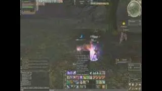 Lineage 2 GoD PvP Sigel Knight lvl 87 VS Sigel Knight lvl 87