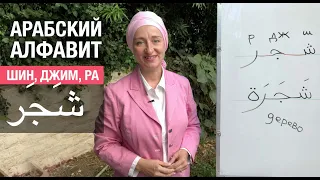 Шаджара – дерево. Буквы: Шин, Джим, Ра. Арабский алфавит. Учимся соединять буквы в слова!