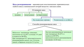 Аверина   Механическая кулинарная обработка мяса