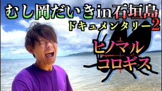 日本最大のコロギスを探せ！〜石垣島ドキュメンタリー②〜