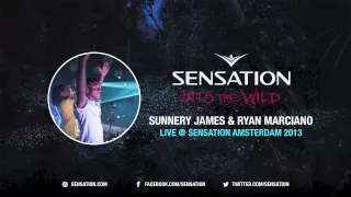 Sunnery James & Ryan Marciano - Live @ Sensation Amsterdam 2013