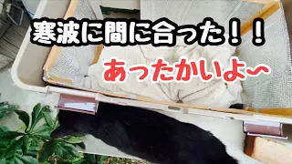 寒波に備えて庭に住みついた野良猫ために湯たんぽ付きハウス準備しました！