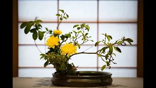 Sul Giappone: Ikebana 生け花