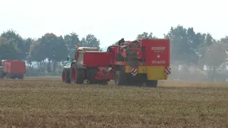 Kartoffel Roden mit Grimme SE 150 Roder beim Ernten von Kartoffeln im Herbst 2017 und als Zugabe BGA