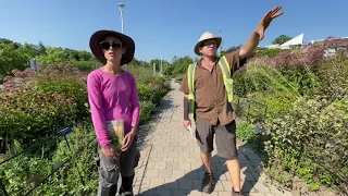 Tour the Piet Oudolf Entry Garden Walk with the Gardeners