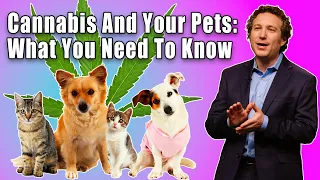 Cannabis And Your Pets: What You Need To Know with Dr. Gary Richter | Be Informed. Be Well.