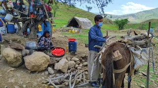 IRAN Village Cooking: Making Eggplant tomato on a spring day/ درست کردن گوجه بادمجان در یک روز بهاری