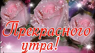 Доброе утро! Отличного настроения! Музыкальная открытка С добрым утром для друзей.