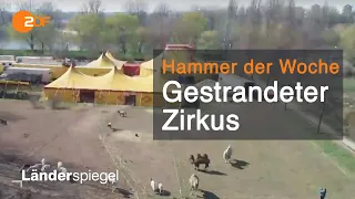 Dieser Zirkus soll morgen weg sein! - Hammer der Woche vom 08.02.2020 | ZDF