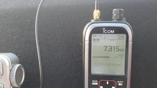 Voice of Vietnam via WHRI 7315 kHz Shortwave Icom IC R30 on K180WLA loop antenna