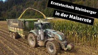 Erntetechnik Steinberger in der Maisernte: Milchviehhof und Biogasalage