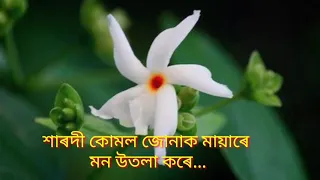 শাৰদী কোমল জোনাক মায়াৰে ॥ Xarodi kumol junak mayare ॥ Munmi Bora....