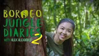 Borneo Jungle Diaries (Season 2) | Official Trailer [4K] | SZtv