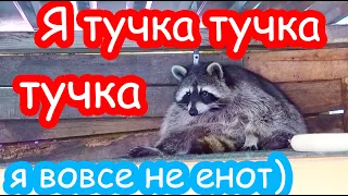 Лимон съел ОСУ