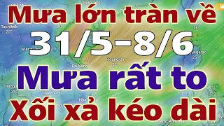 Dự báo thời tiết mới nhất ngày mai 31/5/2024 | thời tiết 7 ngày tới | tin bão mới nhất