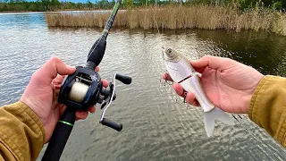 Glidebait gets CRUSHED First 5 Minutes of Fishing