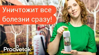 ПЕРВАЯ И САМАЯ ВАЖНАЯ ОБРАБОТКА САДА ВЕСНОЙ от болезней! Вот чем лучше всего опрыскать сад в марте