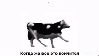 польская корова перевод танцует