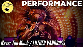 Robopine performs "Never Too Much" by Luther Vandross | Season 4 - THE MASKED SINGER