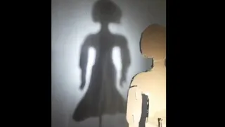 Cardboard puppet | Shadow Puppet Show (stick) | Puppet making !