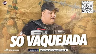 TARCÍSIO DO ACORDEON - SÓ VAQUEJADA (AS MELHORES DA VAQUEJADA)