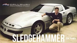 Project SledgeHammer