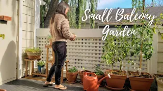 My Balcony Vegetable Garden - Update a SMALL space