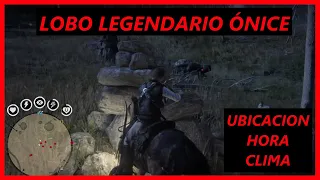 Lobo Legendario ónice 🐺 Ubicación + Hora + Clima