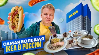 Самая БОЛЬШАЯ IKEA в РОССИИ / Ресторан, Бистро и НОВЫЙ формат еды /  ИКЕА уходит из России