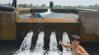 Swimming in Tubewell Water Pool | Tube well Water Fun By Village Boys | Swimming pool