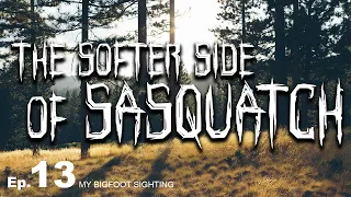 The Softer Side of Sasquatch - My Bigfoot Sighting Episode 13