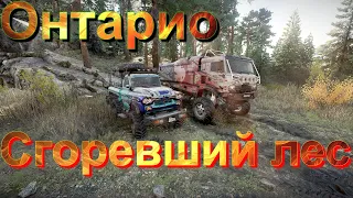 🔥👨‍🚒🧯🌳ОНТАРИО🌲🧯👨‍🚒🔥 СГОРЕВШИЙ🔥🌲ЛЕС🌳   ЭТО НУЖНО ЗНАТЬ🚦ПОДПИШИТЕСЬ НА КАНАЛ❗ПОСТАВЬТЕ  ЛАЙК👍НАЖМИТЕ 🔔