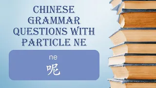Chinese Grammar：Questions with Particle Ne