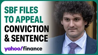 Sam Bankman-Fried files to appeal conviction and sentence