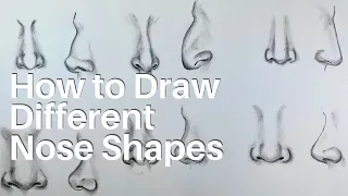 How to Draw Different Nose Shapes