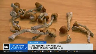 California gets closer to decriminalizing psychedelics