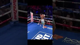 Teofimo Lopez vs Josh Taylor