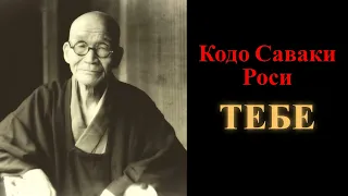 Кодо Саваки Роси  Тебе