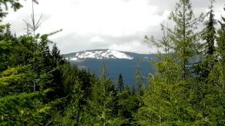 Bigfoot Sasquatch  sighting area 2011  snow in Cowichan Valley Vancouver Island