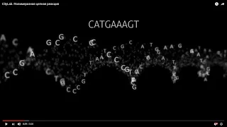 Полимеразная цепная реакция. Лаборатория CL (бывший CityLab)