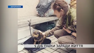 5-денний шлях порятунку: житель Маріуполя разом із собакою пішки дійшов до Запоріжжя
