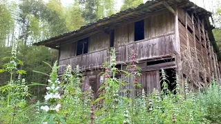 A poor girl clears Weeds and Renovates Her old house ~ She will live in the Forest
