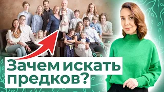 7 доводов сделать генеалогическое древо семьи / Родословная онлайн