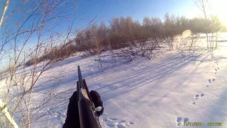 охота на зайца с применением спец средств!удачно!спортивно!а hunting hareглавное результативно!