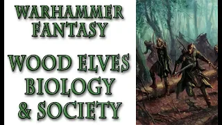 Warhammer Fantasy Lore - Wood Elves, Society and Biology