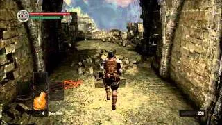 Darksouls: Legend of the Brawler :Part -1: